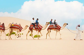 Abu Dhabi Camel Trek