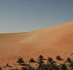 Liwa Oasis Tour