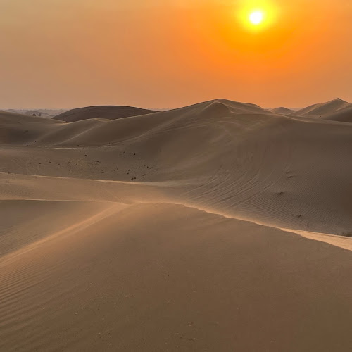 Abu Dhabi Desert Safari - Max Adzhigirey's review images