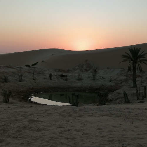 Abu Dhabi Desert Safari - Adel Alshammeri's review images