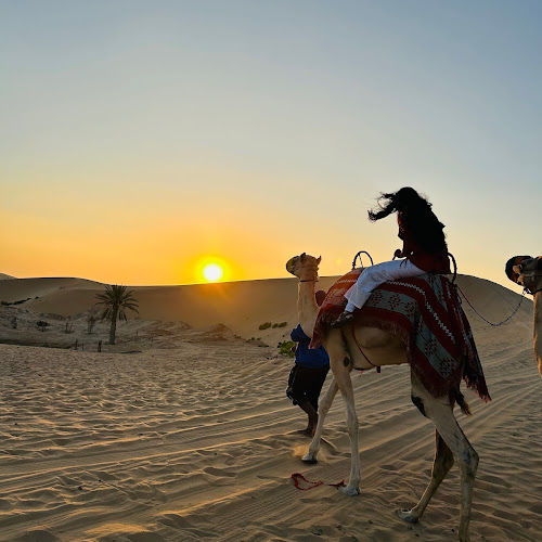 Abu Dhabi Desert Safari - Ajith Suresh's review images