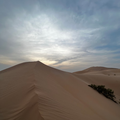 Abu Dhabi Desert Safari - Alain Graf's review images