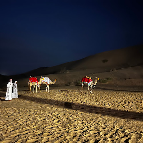 Abu Dhabi Desert Safari - Alain Graf's review images