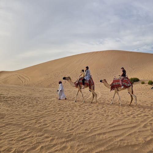 Abu Dhabi Desert Safari - Andrej Krcek's review images
