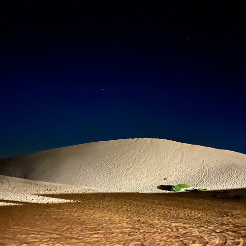 Abu Dhabi Desert Safari - Barbara Maravalli's review images