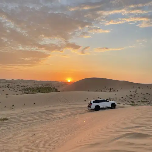 Abu Dhabi Desert Safari - Claudia Latella's review images