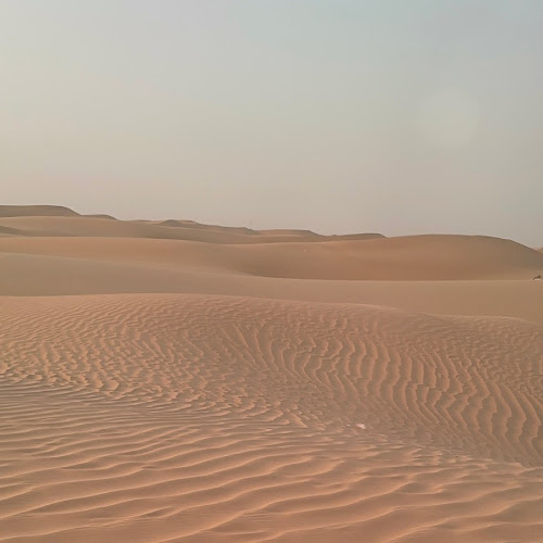 Abu Dhabi Desert Safari - Erin DePriest's review images