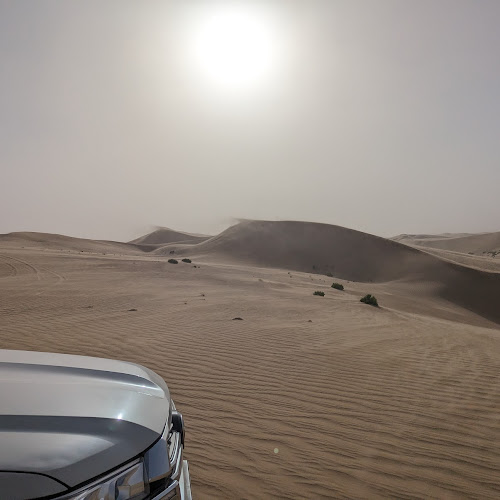 Desert Safari Abu Dhabi - Gábor Ács-Kurucz's review images