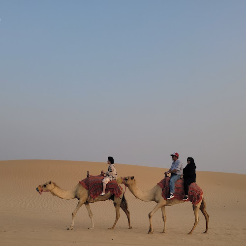 Abu Dhabi Desert Safari - 한해솔's review images
