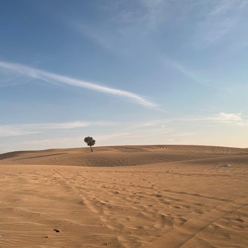 Abu Dhabi Desert Safari - 허인석's review images