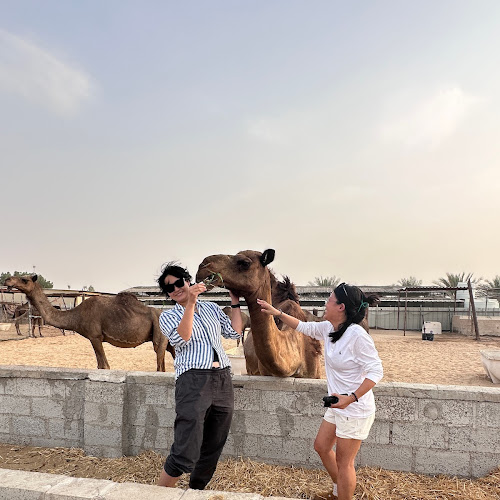 Abu Dhabi Desert Safari - 江宝棋's review images
