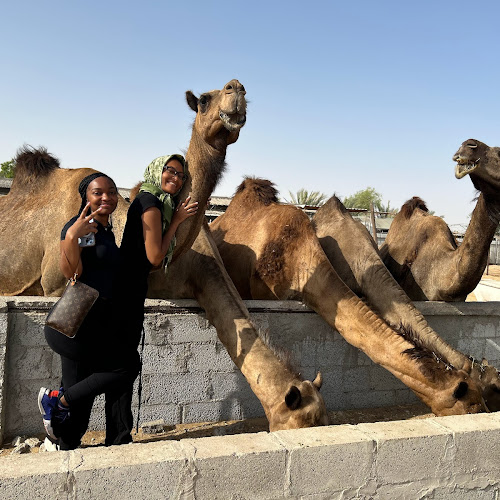 Abu Dhabi Desert Safari - Johnna Anessa's review images