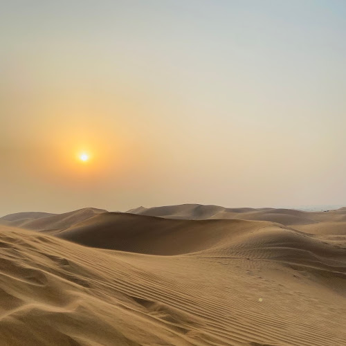 Abu Dhabi Desert Safari - Jose Legarda's review images
