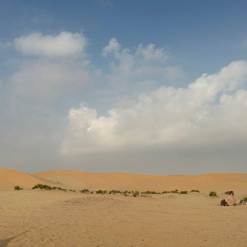 Abu Dhabi Desert Safari - 金志勳's review images