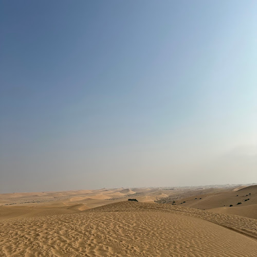 Abu Dhabi Desert Safari - 金志勳's review images