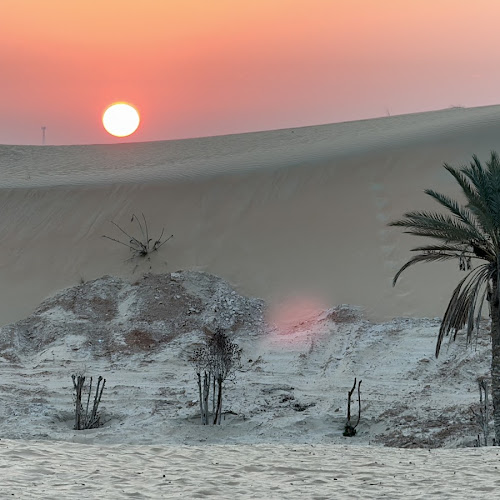 Abu Dhabi Desert Safari - Кирил Колев's review images
