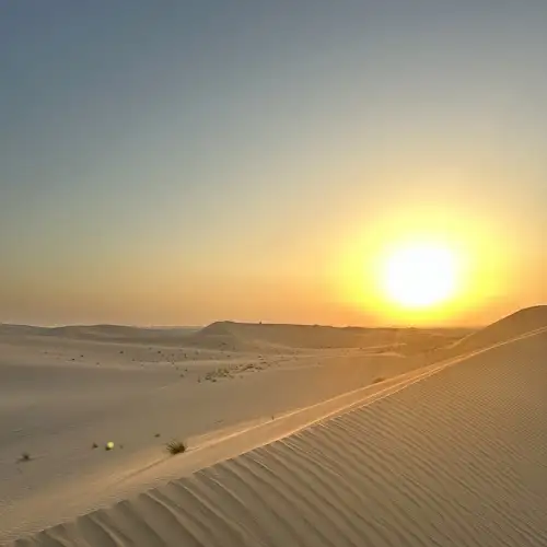 Abu Dhabi Desert Safari - Luca Kozak's review images