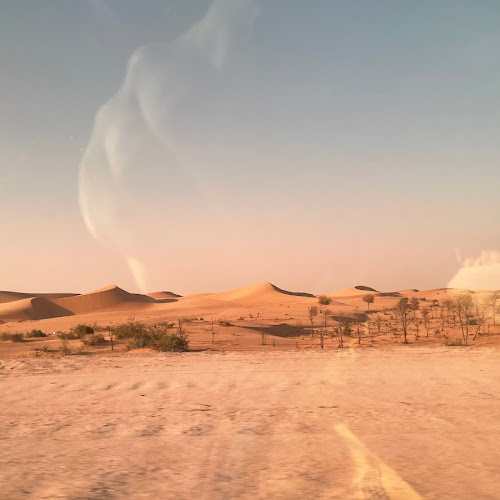 Abu Dhabi Desert Safari - Maciej Osuch's review images
