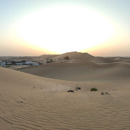 Abu Dhabi Desert Safari - Marek Brazina's review images