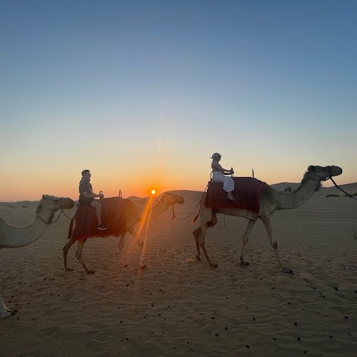 Abu Dhabi Desert Safari - Mark Smith's review images