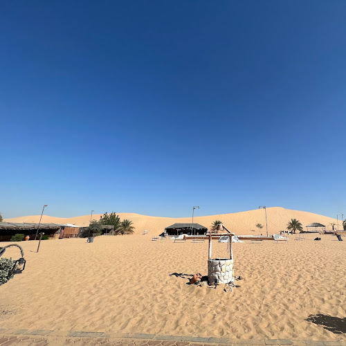 Abu Dhabi Desert Safari - Mohammad Ali's review images