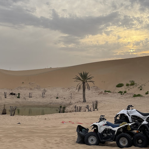 Desert Safari Abu Dhabi - Monika Völkl's review images