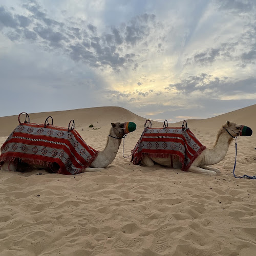 Abu Dhabi Desert Safari - Monika Völkl's review images