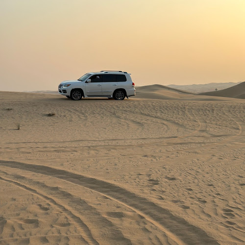 Abu Dhabi Desert Safari - Panait Nicoleta's review images