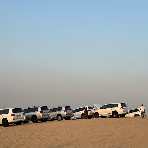 Abu Dhabi Desert Safari - Panait Nicoleta's review images