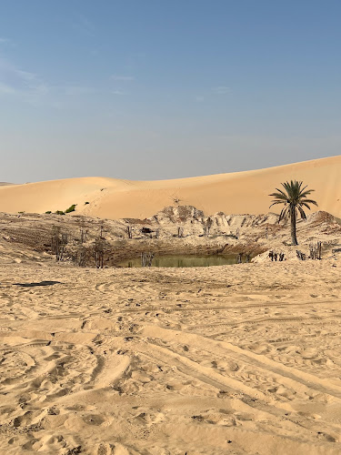 Abu Dhabi Desert Safari - Paola Spano's review images