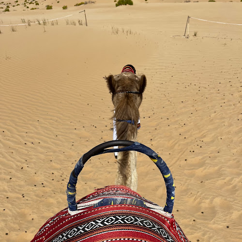 Abu Dhabi Desert Safari - Rachael Iskandar's review images