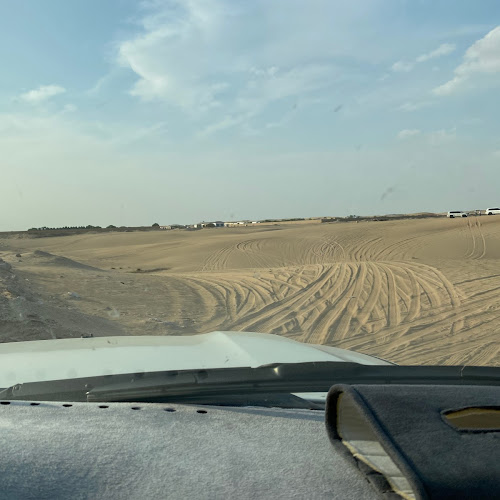 Abu Dhabi Desert Safari - Ramon Walt's review images