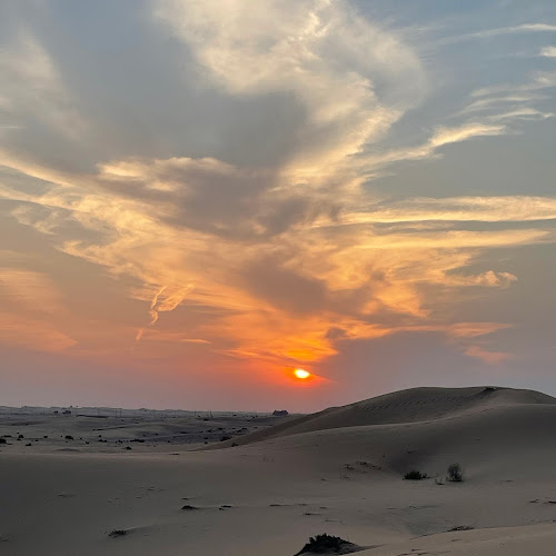 Abu Dhabi Desert Safari - Ricarda Müller's review images