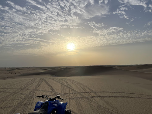 Abu Dhabi Desert Safari - Richard Hall's review images