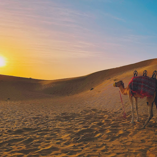 Desert Safari Abu Dhabi - Roshan Thomas's review images