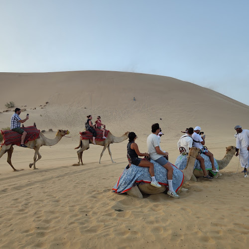 Abu Dhabi Desert Safari - Samuele Samuele's review images