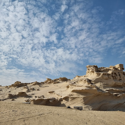 Abu Dhabi Desert Safari - Tiffany Cone's review images