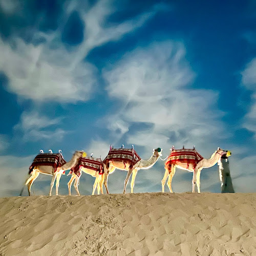 Desert Safari Abu Dhabi - Travis Fletcher's review images