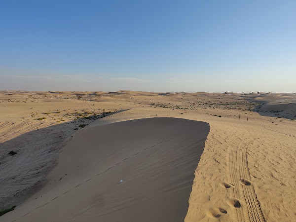 Abu Dhabi Desert Safari - Vikesh Dass's review images